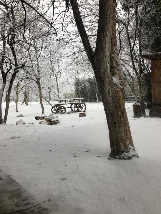 Бунгало Kheivani Dış mekan fotoğraf