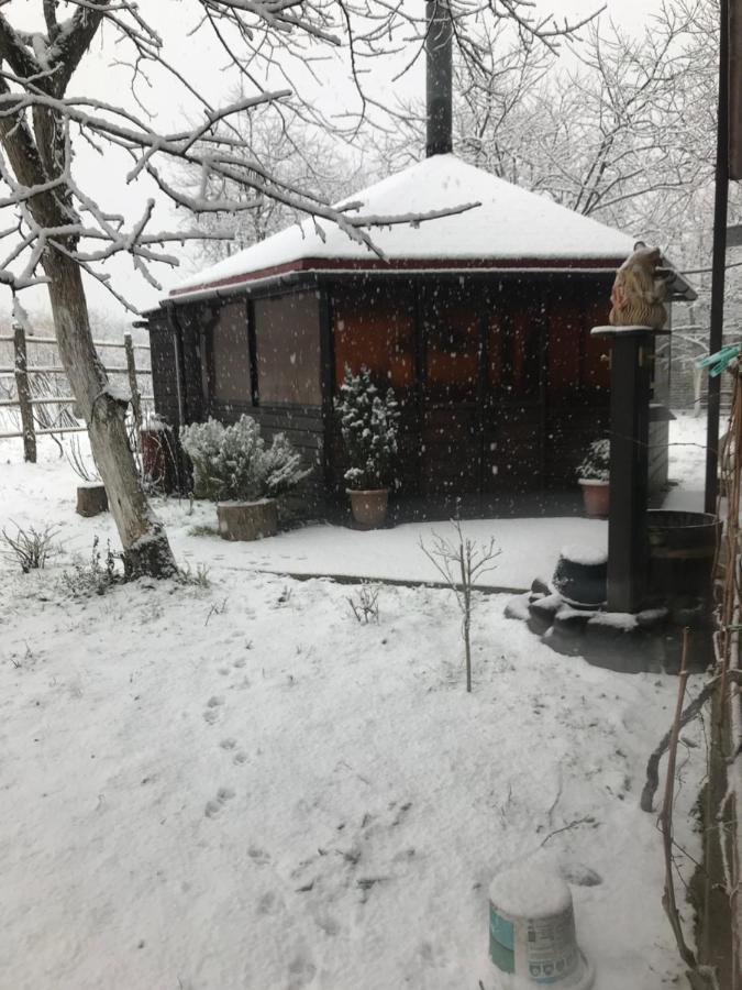 Бунгало Kheivani Dış mekan fotoğraf