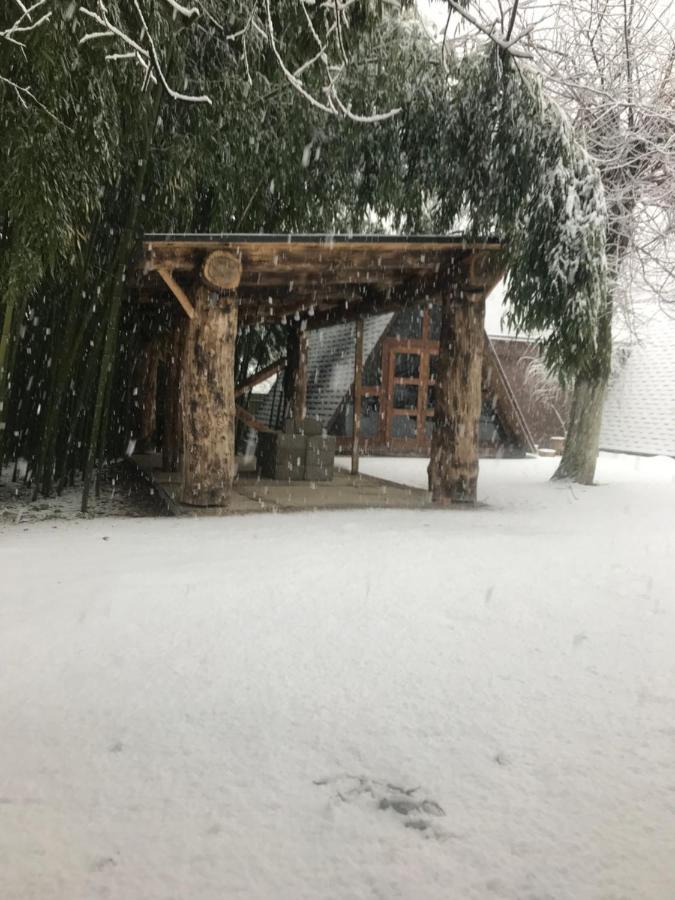 Бунгало Kheivani Dış mekan fotoğraf