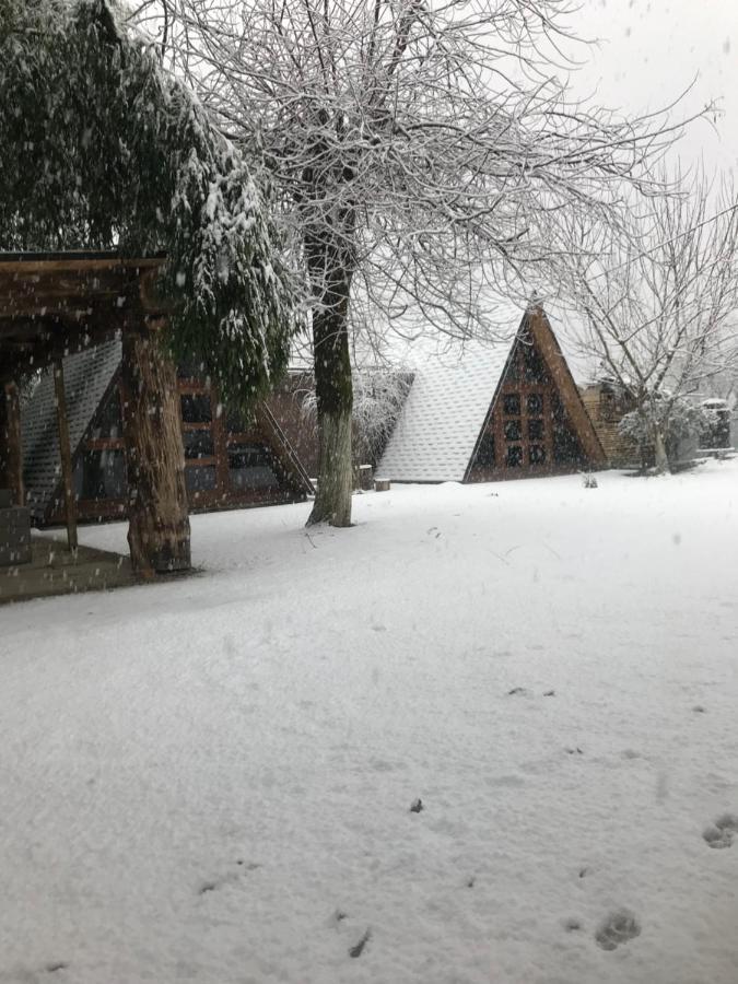 Бунгало Kheivani Dış mekan fotoğraf